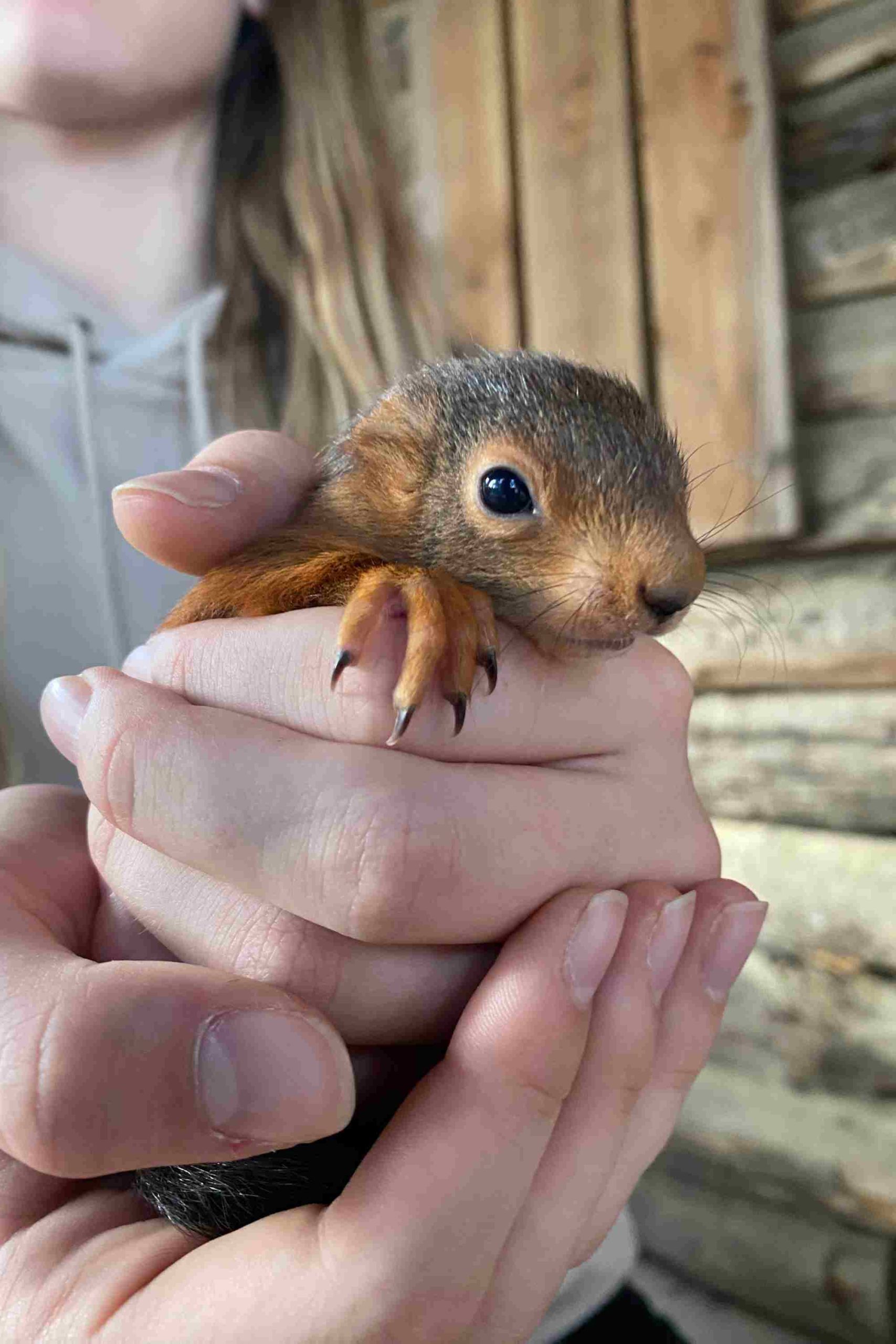 Le Parc Bessilles Aventure 7 00010